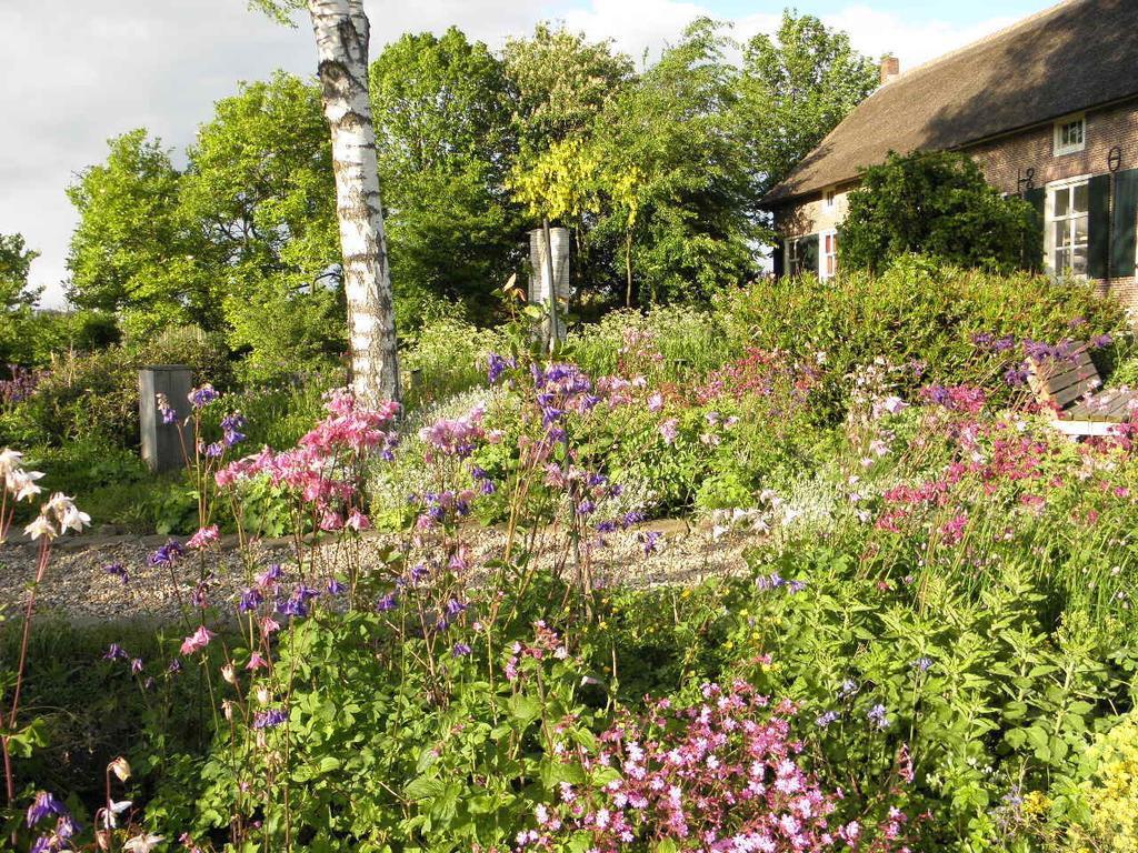 Bed & Breakfast Hofstede Het Klaphek Randwijk Номер фото